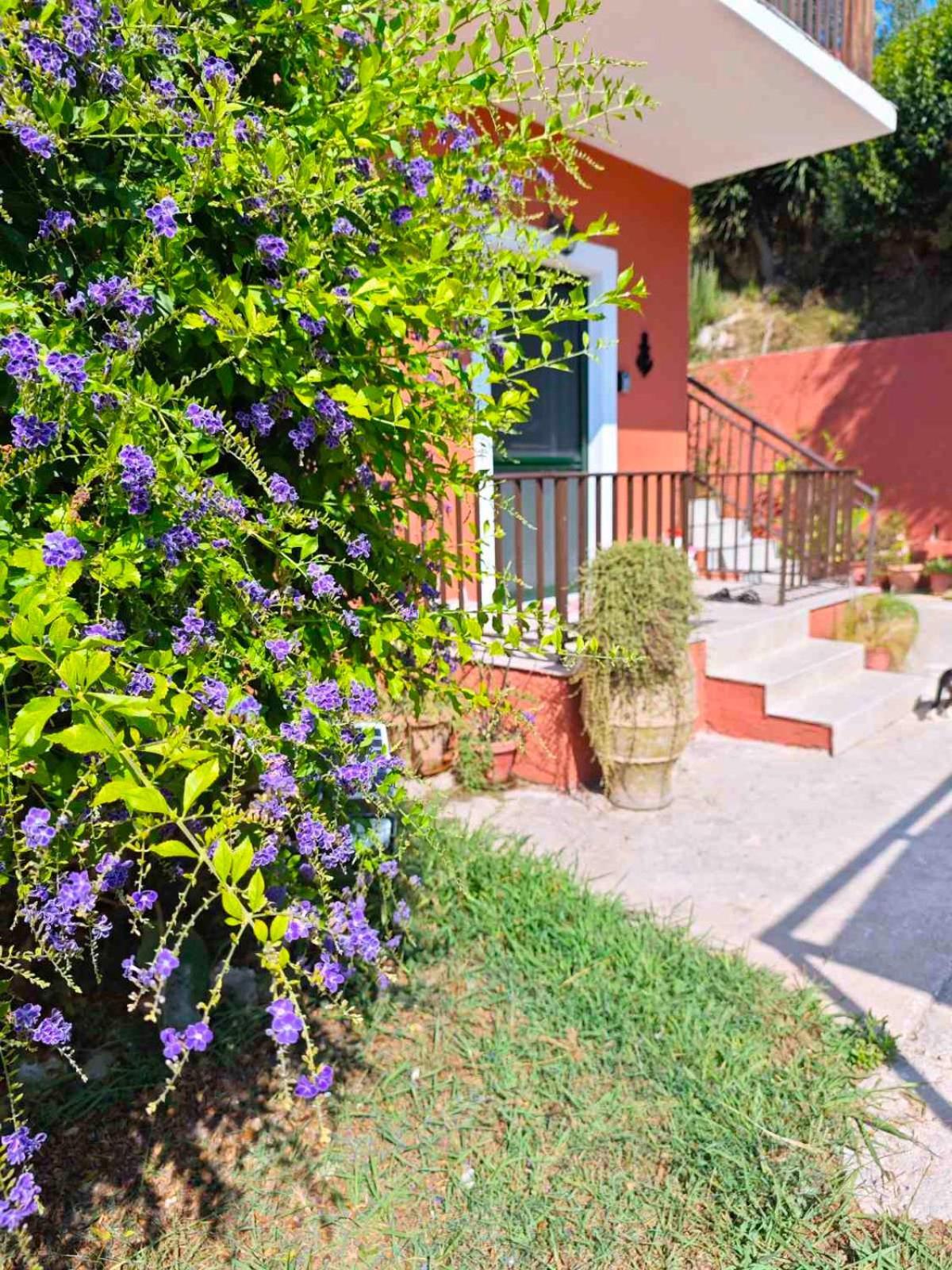 Captain'S Apt Arillas  Luaran gambar